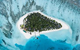 Angsana Velavaru - 20 Percent Off On Return Sea Plane Transfers, Spa, F&b And Watersports, Bookings & Stays Between 15 June - 27 Dec 2024 Hotel Meedhoo (dhaalu Atoll) Maldives